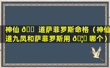 神仙 🐠 道萨菲罗斯命格（神仙道九凤和萨菲罗斯用 🦋 哪个）